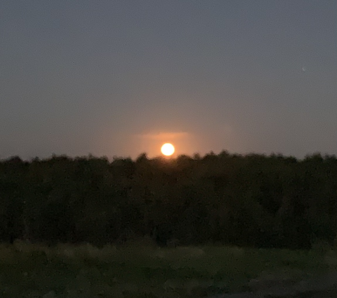 Ich habe kein scharfes Foto von einem Sonnenaufgang, also hier ein Mondaufgang.